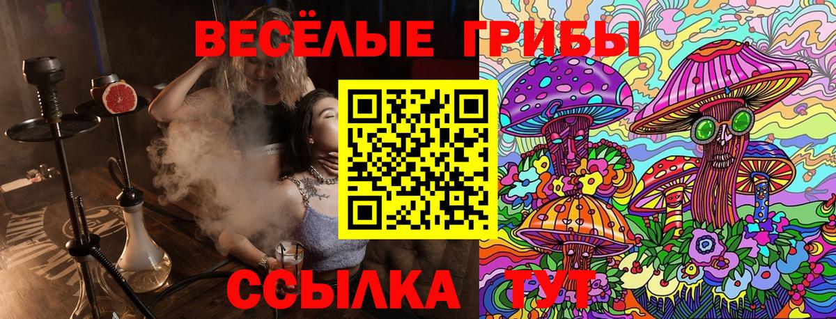 Галлюциногенные грибы Psilocybine cubensis  Вход с VPN  Галлюциногенные грибы Cubensis  Урус-Мартан 