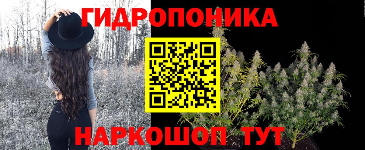Урус-Мартан  Бошки марихуана Ganja  Канабис ГИДРОПОН  Марихуана Amnesia  Марихуана планчик  Вход с VPN 